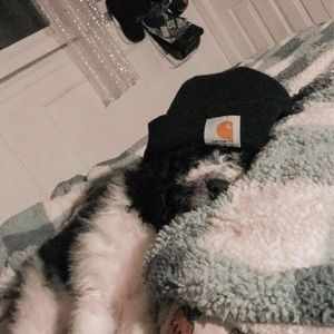 Meet your Posher, Mignon